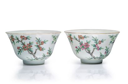 CHINE - XIXe siècle Paire de bols en porcelaine émaillée polychrome d'oiseau sur...