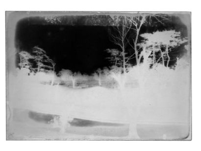 Robert de Semallé (1839-1946) Ensemble de 11 négatifs au collodion sur verre représentant...