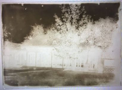 Robert de Semallé (1839-1946) Ensemble de 21 négatifs au collodion sur verre représentant...