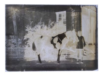 Robert de Semallé (1839-1946) Ensemble de 21 négatifs au collodion sur verre représentant...