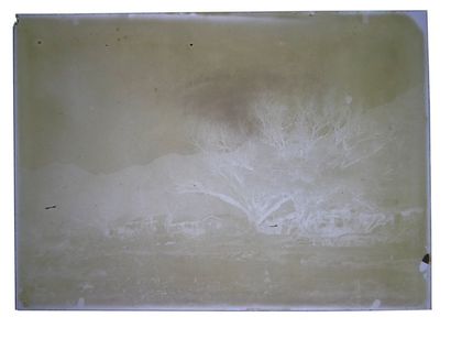 Robert de Semallé (1839-1946) Ensemble de 21 négatifs au collodion sur verre représentant...