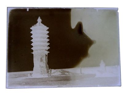 Robert de Semallé (1839-1946) Ensemble de 8 négatifs au collodion sur verre représentant...
