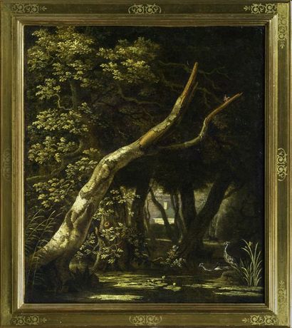 Attribué à Jan van KESSEL (1641 - 1680)