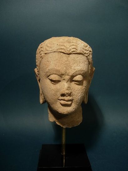 ART GRECO-BOUDDHIQUE DU GANDHARA (Ier - Vème siècle ap. J.C.) Tête de Bouddha. En...