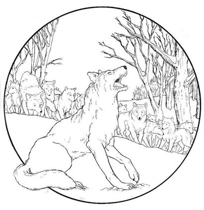 RIU. Michel. (Né en 1956) «Les Loups». Deux dessins à l'encre de Chine pour la couverture...