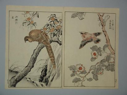 JAPON Deux estampes de Bunrei, série des 100 oiseaux. 1893