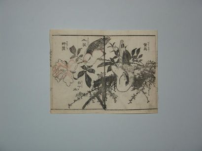 JAPON Trois estampes de Taito, série des 100 oiseaux. Vers 1820