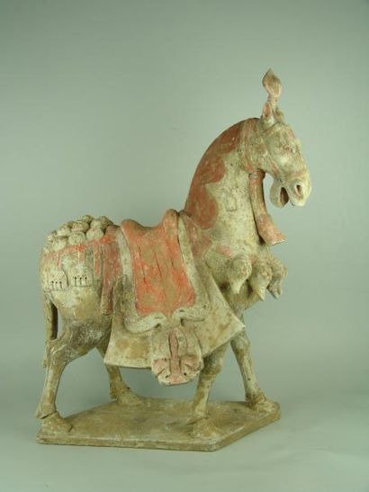 WEI (386 - 587) Cheval en position de marche sur une terrasse Il porte un tapis de...