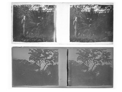 Gaston HAUCHECORNE (1880-1945) Stereoscopic glass negatives comprising about 760...