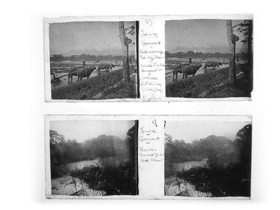 Gaston HAUCHECORNE (1880-1945) Stereoscopic glass negatives comprising about 760...