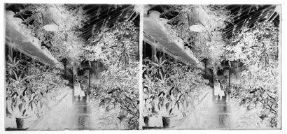 SHANGHAI, HANGZHOU, SUZHOU SHANGHAI, HANGZHOU, SUZHOU - 1920’s
Stereoscopic glass...