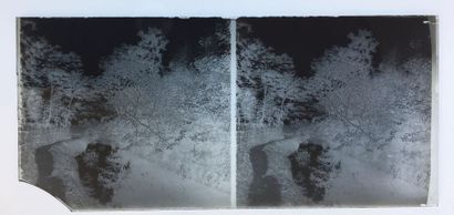 SHANGHAI, HANGZHOU, SUZHOU Suite of approximately 490 stereoscopic negatives, including...