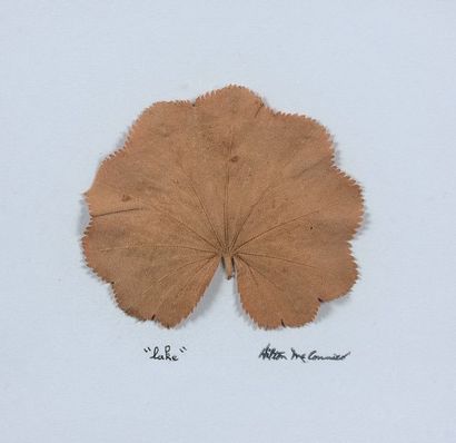 HILTON MCCONNICO (1943 - 2018) 
Lake
Triptyque de feuilles mortes collées sur papier,...