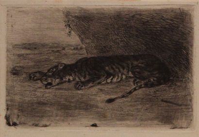 Eugène DELACROIX (1798-1863) 
Tigre couché à l'entrée de son antre
Eau-forte, pointe...