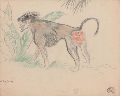 Georges MANZANA-PISSARRO (1871-1961) 
Baboon
Pencil and pencil drawing, signed lower...