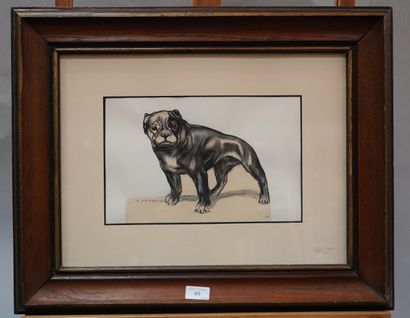 安德烈-玛格丽特(1903-1999)

科莱特的法国斗牛犬，1944年

纸上炭笔和粉笔画。

左下角有签名和日期。

裁剪并粘贴在纸板上。

18...