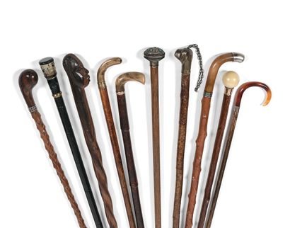  MEETING OF TEN CANES 
. Cane with metal...