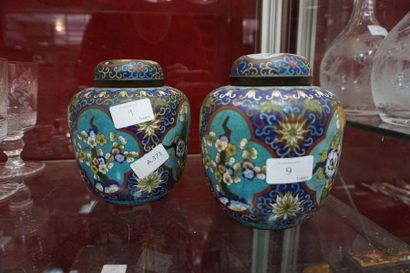null Pair of covered cloisonné enamel pots with plant decoration, China, early 20th...