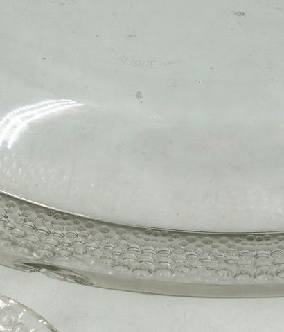 null LALIQUE Jardinière en verre moulé pressé de forme ovale, modèle SAINT-GALL créé...