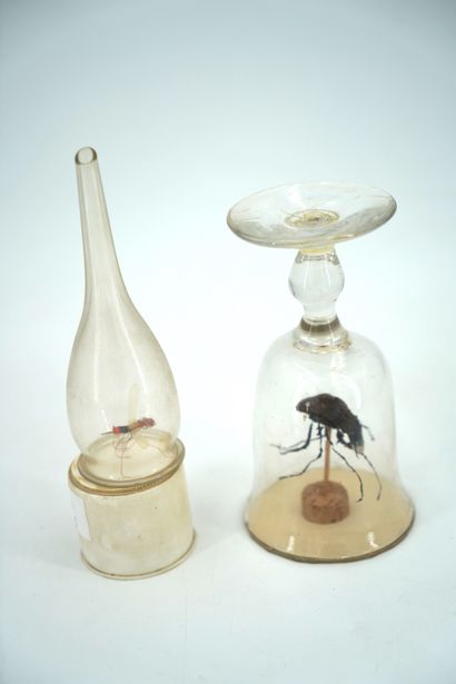 GÉRARD CYNE (1923-2006) Objets de curiosités
Deux sculptures d'insectes, l'une enfermée...