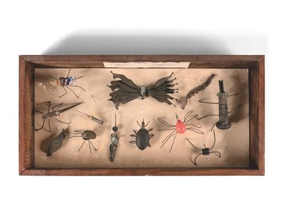 GÉRARD CYNE (1923-2006) Boîte 1960
Cabinet de curiosité, enfermant douze insectes...