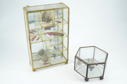 GÉRARD CYNE (1923-2006) 昆虫和怪物的头
金属、塑料、石膏，在两个小玻璃笼子下面，木头和骨头放在玻璃罐子里。