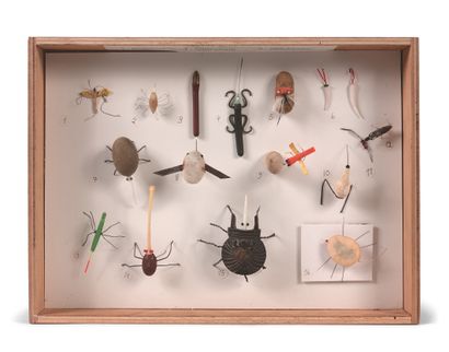 GÉRARD CYNE (1923-2006) 3号昆虫箱，标题为 "奥弗涅-利穆赞"
石头，金属，塑料，装在一个长方形的木制展示箱里。
5,5 x 40 x 29,5...