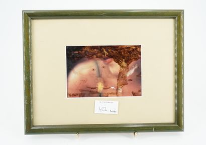 GÉRARD CYNE (1923-2006) 悲伤的Oblate
水墨和水粉在纸的两面。
8 x 12厘米（正面），16.5 x 11.5厘米（背面）。