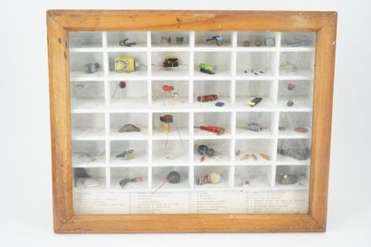 GÉRARD CYNE (1923-2006) 昆虫箱
金属、塑料、计算机化合物等，装在一个木制展示箱中。
12.5 x 32 x 42 cm。