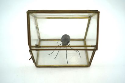 GÉRARD CYNE (1923-2006) Araignée
Sculpture en métal, enfermée dans une boîte en verre.
Métal,...