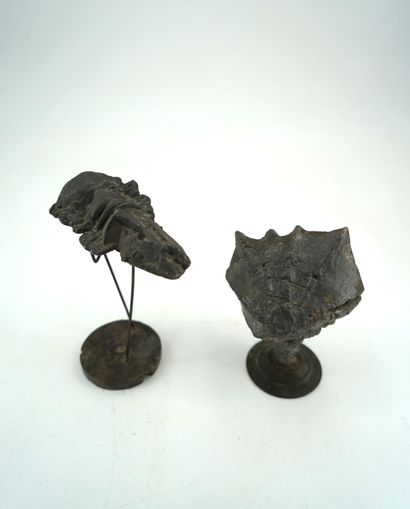 GÉRARD CYNE (1923-2006) Fossiles
Deux sculptures en métal, l'une sur socle circulaire,...