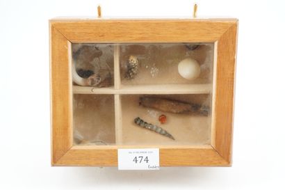 GÉRARD CYNE (1923-2006) 内阁的好奇心
盒子，清漆木头和玻璃，显示石头，榛子，木头，叶子的naturalia。