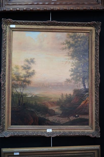 null Réunion de 2 tableaux : lac de montagne, huile sur toile, environ 75 x 62 cm...