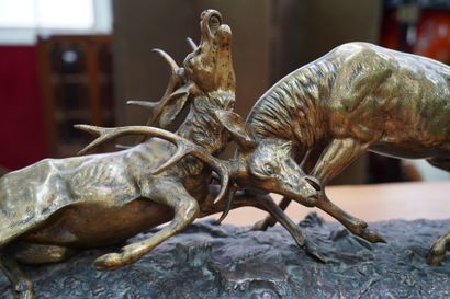 null E. GUY (XXe siècle) Combat de cerfs. Sujet en bronze doré.