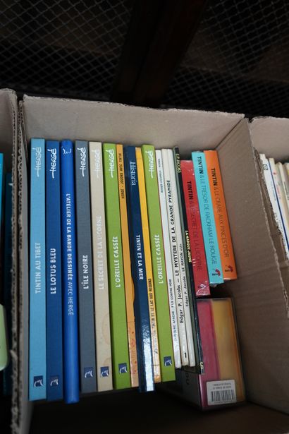 null Réunion d'albums Astérix et Tintin. Lot de 12 albums Astérix souples et éditions...