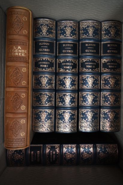 null Lot de livres reliés : BUFFON Œuvres les oiseaux, cinq tomes, 1859 ; Œuvres...