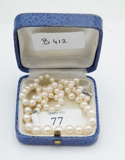 null Collier de perles, fermoir en or blanc 18K (750 millièmes). Poids brut : 20...