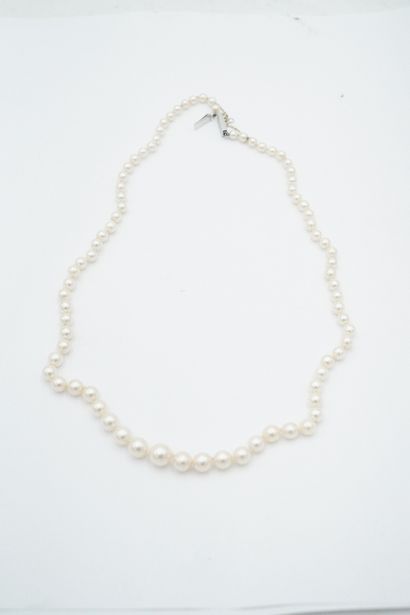 Collier de perles, fermoir en or blanc 18K...