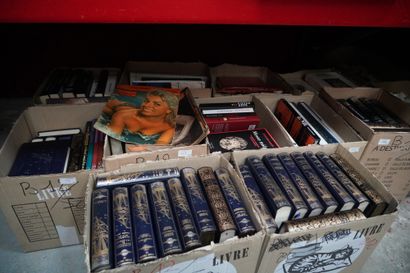 null Lot de livres divers (11 cartons) dont édition Jean de Bonnot : Jules Verne,...