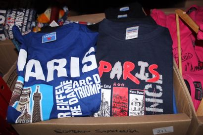null * Huit cartons de souvenirs de Paris : pochettes, sacs à mains, t-shirt, sweet...