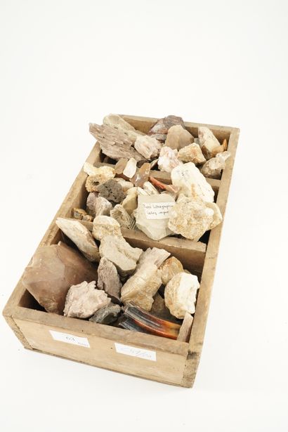 null Réunion de fossiles et silex taillés provenant de Bretagne. (1 boîte).