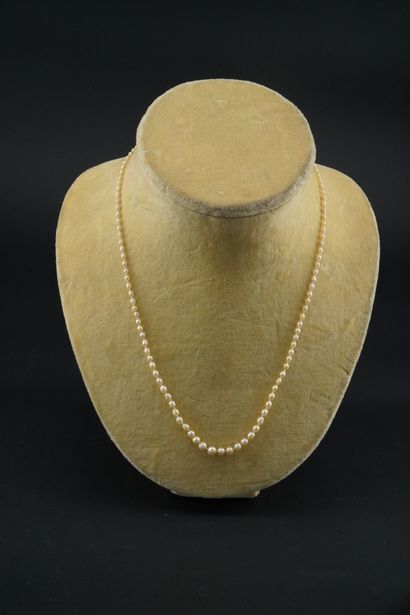 null NECKLACE One hundred and twenty-one pearls of culture or fine in fall.
The clasp...