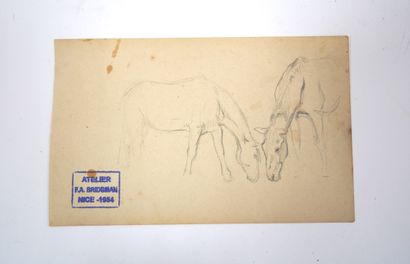 Frédéric Arthur BRIDGMAN (1847-1928) 马的研究
两幅铅笔画。
工作室销售的印章，尼斯，1954年。
9,8 x 15,6 cm。
污渍。
牛的研究，巴约纳，73
铅笔画，位于右下方并有日期。
背面有签名和注释。
工作室销售的印章，尼斯，1954年。
9,5...