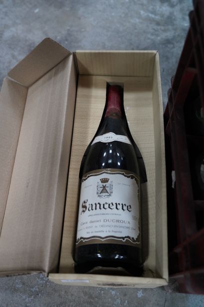 null Lot de vin comprenant un magnum de Sancerre, Santenay, Cognac, etc.