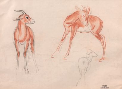 ANDRÉ MARGAT (1903-1999), ATELIER DE Antilopes
Crayon, sanguine et fusain sur papier.
Porte...