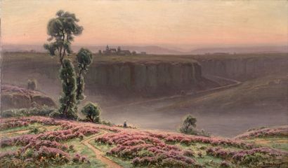 William DIDIER-POUGET (1864-1959) Bruyères en fleurs dans une vallée
Huile sur toile,...