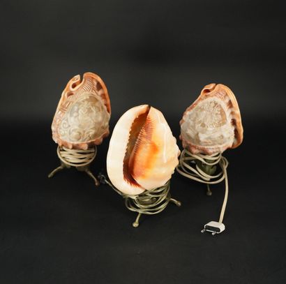 null Trois coquillages sculptés, à décor de femmes à l'antique et angelots, montés...