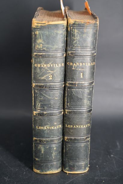 null GRANDVILLE, Scènes de la vie privée et publique des animaux, 1842, J. Hetzel...