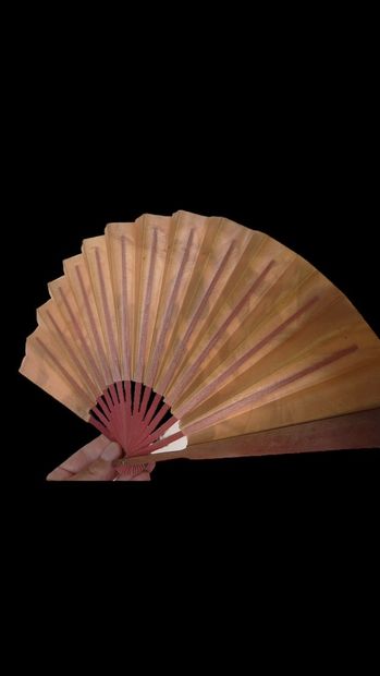 null GEORGES DESAINS
ADVERTISING FAN FOR RIGAUD PERFUMES
The wooden strands, the...