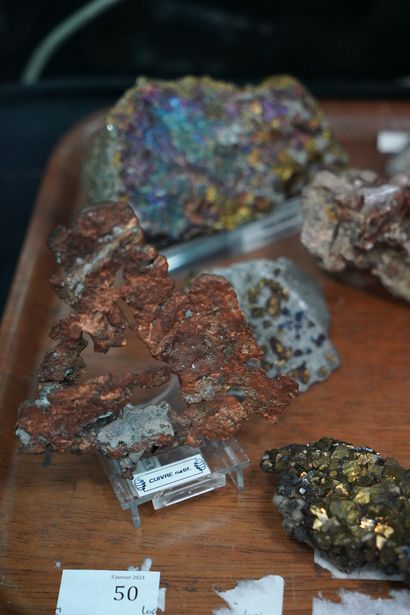 null NATURALIA Réunion de minéraux dont cuivre natif, chalcopyrite, astrophyllite,...